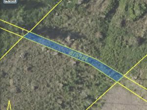 Prodej lesa, Kladruby, 698 m2