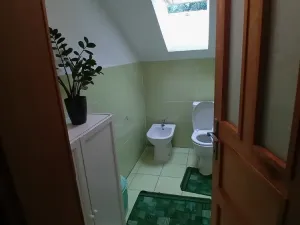 Prodej komerční nemovitosti, Hanušovice, 891 m2