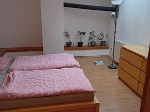 Prodej výrobních prostor, Hanušovice, 891 m2