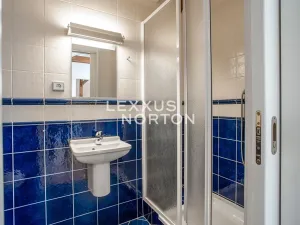 Pronájem bytu 5+kk, Praha - Vinohrady, Jana Masaryka, 210 m2