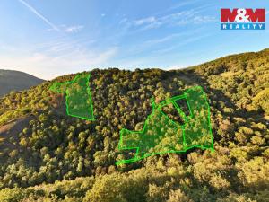 Prodej lesa, Ústí nad Labem - Sebuzín, 23067 m2