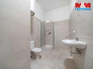 Prodej bytu 4+kk, Plešnice, 102 m2