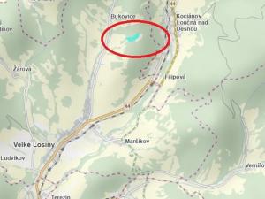 Prodej lesa, Písařov, 53575 m2