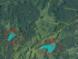 Prodej podílu lesa, Vlachovo Březí, 1357 m2