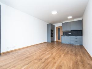 Pronájem bytu 1+kk, Praha - Háje, Výstavní, 33 m2
