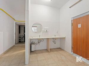 Prodej ubytování, Krupka, Husitská, 552 m2