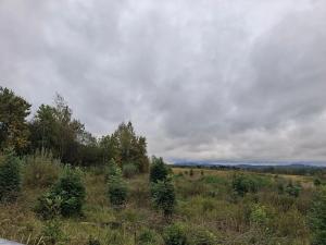 Prodej komerčního pozemku, Chodov, Nejdecká, 3546 m2