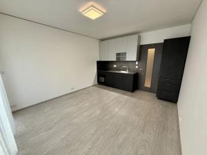 Pronájem bytu 1+kk, Brno, Trnitá, 26 m2