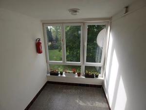 Prodej bytu 1+1, Kladno, Míru, 29 m2