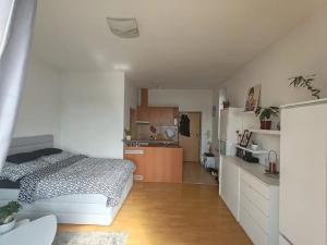 Pronájem bytu 1+kk, Brno, Merhautova, 25 m2
