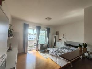 Pronájem bytu 1+kk, Brno, Merhautova, 25 m2