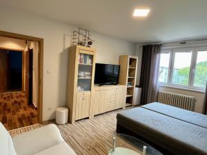 Prodej bytu 2+1, Kroměříž, Vrobelova, 62 m2