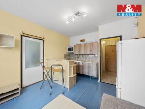 Prodej bytu 1+1, Ústí nad Labem - Severní Terasa, Šípková, 33 m2