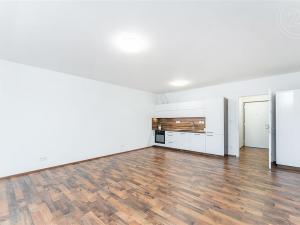 Prodej bytu 1+kk, Liberec - Liberec IV-Perštýn, Na Perštýně, 42 m2