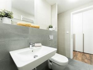 Prodej bytu 1+kk, Liberec - Liberec IV-Perštýn, Na Perštýně, 42 m2
