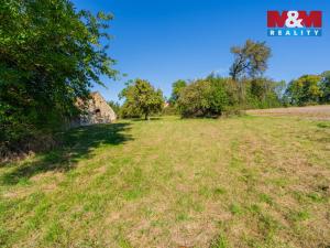 Prodej pozemku pro bydlení, Dříteň - Libív, 4001 m2