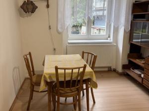 Pronájem bytu 1+1, Pardubice - Zelené Předměstí, Jungmannova, 60 m2