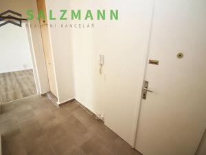 Pronájem bytu 2+1, Plzeň, Dlouhá, 59 m2