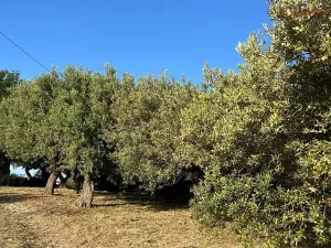 Prodej rodinného domu, San Piero Patti, Itálie, 139 m2