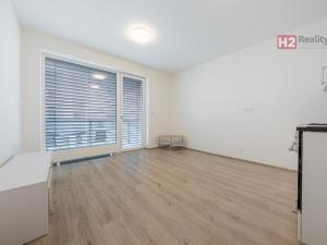 Pronájem bytu 1+kk, Kladno, Vašíčkova, 24 m2