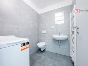 Pronájem bytu 1+kk, Kladno, Vašíčkova, 24 m2