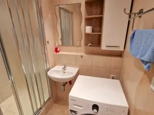 Pronájem bytu 2+kk, Brno, Novoměstská, 45 m2