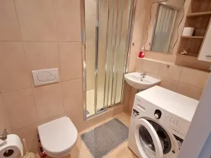 Pronájem bytu 2+kk, Brno, Novoměstská, 45 m2