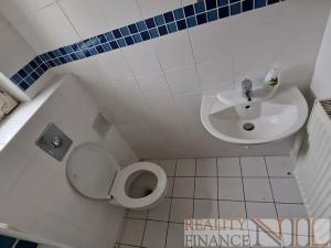 Pronájem vily, Mariánské Lázně, Palackého, 400 m2