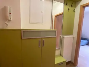 Pronájem bytu 2+kk, Brandýs nad Labem-Stará Boleslav, Riegrova, 46 m2