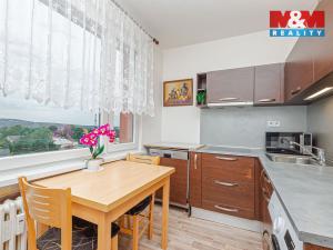 Prodej bytu 1+1, Vamberk, Struha, 32 m2