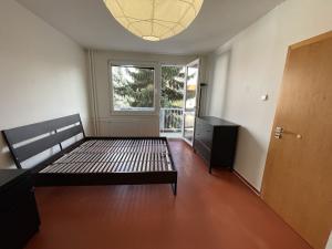 Pronájem bytu 2+kk, České Budějovice - České Budějovice 3, Puklicova, 36 m2