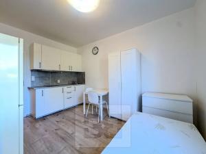 Pronájem bytu 1+kk, Praha - Krč, Budějovická, 20 m2