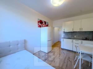Pronájem bytu 1+kk, Praha - Krč, Budějovická, 20 m2