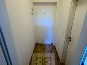 Pronájem bytu 1+kk, Praha - Krč, Budějovická, 20 m2