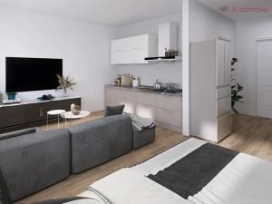 Prodej bytu 1+kk, Přerov, Komenského, 30 m2