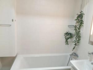 Pronájem bytu 2+kk, Chýně, 54 m2