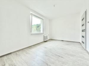 Pronájem bytu 4+1, Ústí nad Labem - Krásné Březno, Žežická, 81 m2