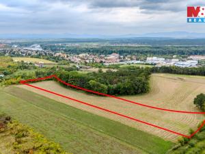 Prodej pole, Roudnice nad Labem, 11093 m2