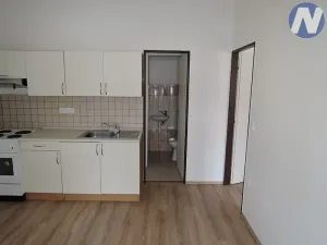 Prodej ubytování, Vodňany, Holečkova, 430 m2
