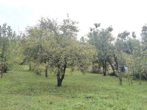 Prodej rodinného domu, Přílepy, 85 m2