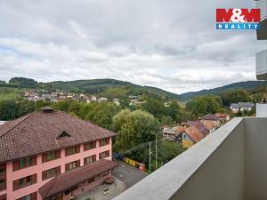Prodej bytu 1+1, Brumov-Bylnice - Brumov, Am. Kutinové, 38 m2