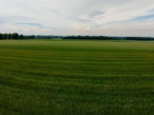 Prodej pozemku, Komorní Lhotka, 1050 m2
