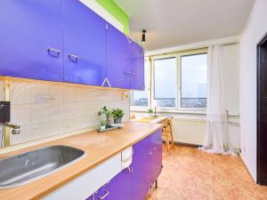 Prodej bytu 1+1, České Budějovice - České Budějovice 2, K. Šafáře, 40 m2