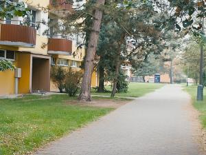 Prodej bytu 1+1, České Budějovice - České Budějovice 2, K. Šafáře, 40 m2