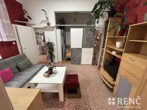 Pronájem bytu 1+1, Brno, Kounicova, 47 m2