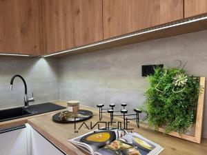 Prodej bytu 3+kk, Ostrava, Resslova, 51 m2