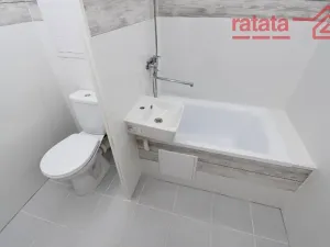 Pronájem bytu 1+1, Most, Moskevská, 27 m2