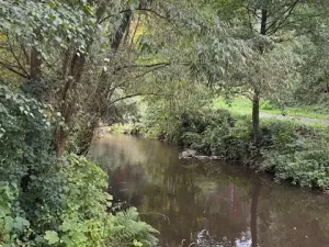 Prodej zahrady, Karlovy Vary, 277 m2