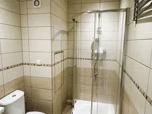 Pronájem bytu 1+kk, Plzeň, Skupova, 20 m2