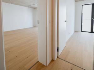 Prodej bytu 1+kk, Brno, Bratislavská, 45 m2